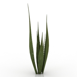 plant aloe vera 3D Model Preview #415544fb