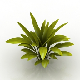 plant aspidista milky way 3D Model Preview #4f866e3b