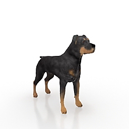 dog 1 3D Model Preview #c1c5507b