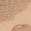 Stucco