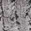 Bark