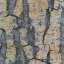 Bark