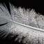 Feather