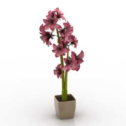flower 3D Model Preview #83cb0473
