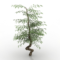 bush 3D Model Preview #779d5bac
