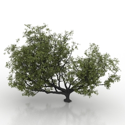 3D Apple-tree preview