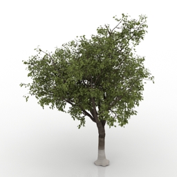 3D Apple-tree preview