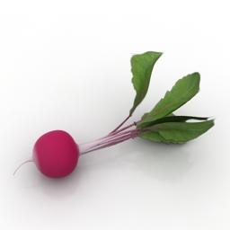 3D Radish preview