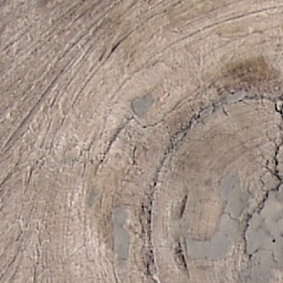 Wood