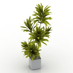 palm 3D Model Preview #da89fe4a