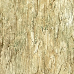 Bark