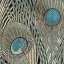 Textile