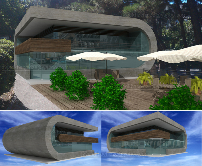 Architectural Home Design