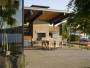architecture home design