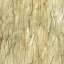 Bark