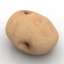 Potato