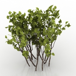 3D Hawthorn preview