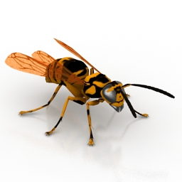 3D Wasp preview