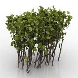 3D Hawthorn preview