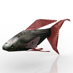 3D Fish preview