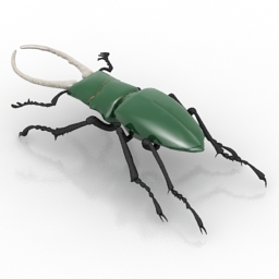 3D Stag beetle preview