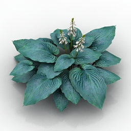 3D Flower preview