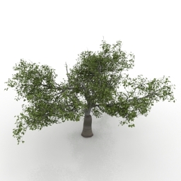 3D Cherry tree preview