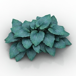 3D Flower preview