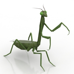 3D Mantis preview