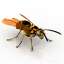 Wasp