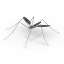 Mosquito