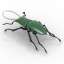 Stag beetle