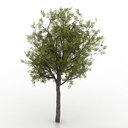 3D Tree preview