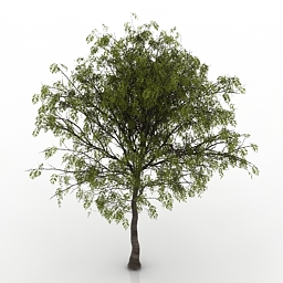 3D Tree preview
