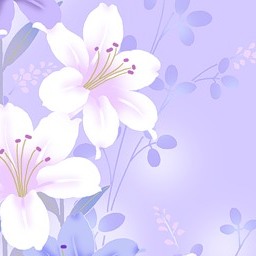 Wallpaper