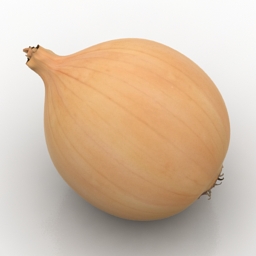 3D Onion preview