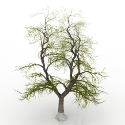 tree large ash-stripped 3D Model Preview #4240206b