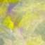 Stucco