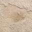 Stucco