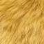 Fur