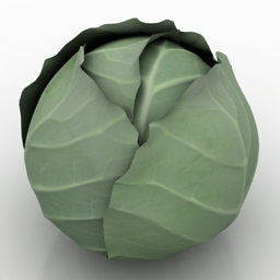 3D Cabbage preview