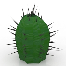 cactus euphorbia ferrox 3D Model Preview #da95429d