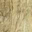 Bark