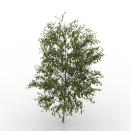 tree 2 3D Model Preview #04e203c1