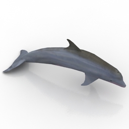 3D Dolphin preview