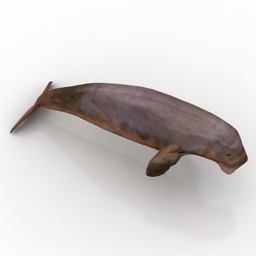 3D Seal preview