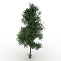3D Tree preview