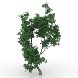 3D Tree preview