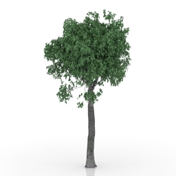 3D Tree preview
