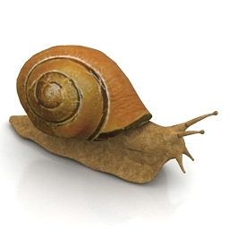 3D Snail preview